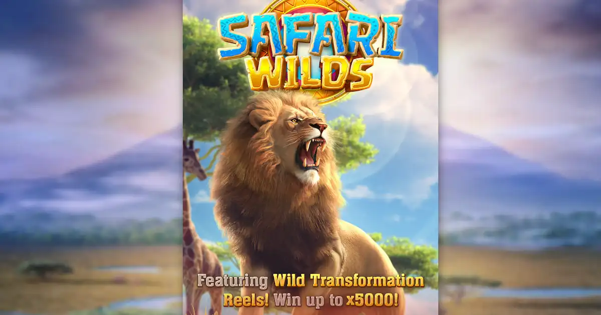 Safari Wild